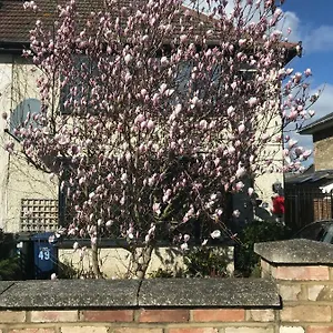 https://harrys-bed-and-breakfast-chesterton-cambridge.cambridgehotelsuk.com